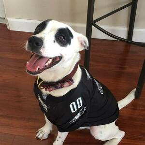 Fundraising Page: Sean Rice